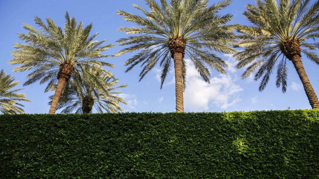  Dan 8 meses de c&aacute;rcel a mujer china que entr&oacute; a club de Trump en Florida 