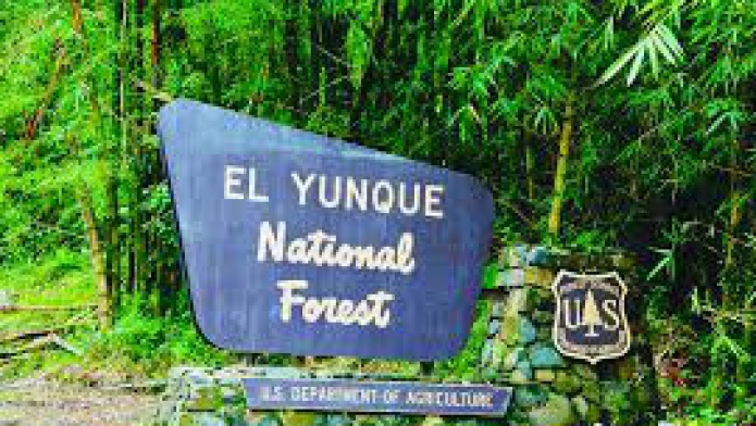 Cierran Ã¡reas recreativas, bosques estatales, reservas naturales y refugios de vida silvestre debido al paso de la Tormenta Tropical Gonzalo
 
