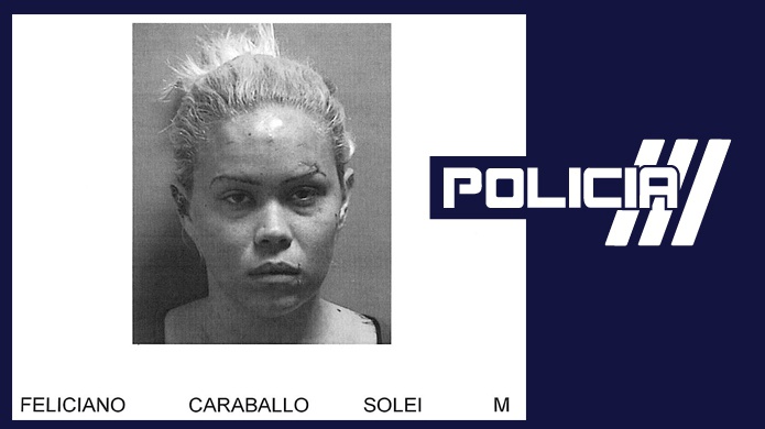 RADICAN CARGOS A MUJER POR TENT. DE ASESINATO Y LEY DE ARMAS