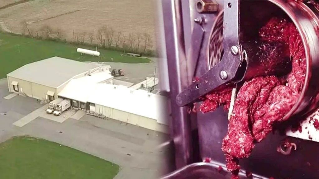  Muere "devorada" por una moledora industrial de carne 