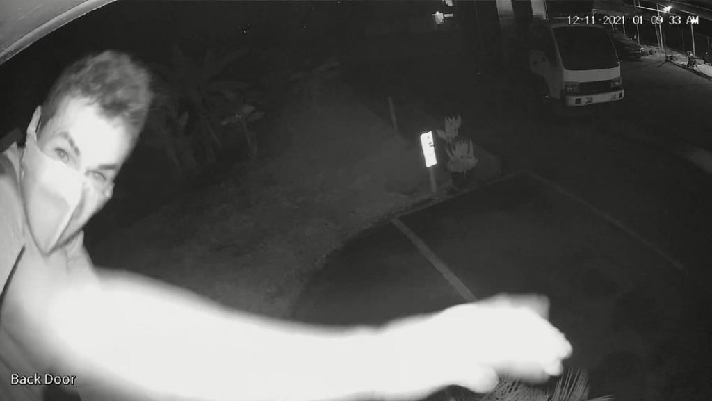  Video: Momento en que &ldquo;caco&rdquo; entra a robar en &ldquo;Dealer&rdquo; de Aguas Buenas 