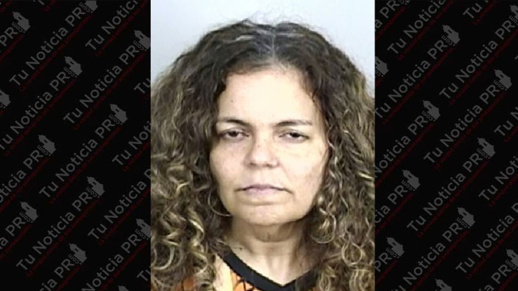  A la c&aacute;rcel &ldquo;Nely&rdquo; por mandarle con un cuchillo a negociador de la polic&iacute;a en Toa Baja 