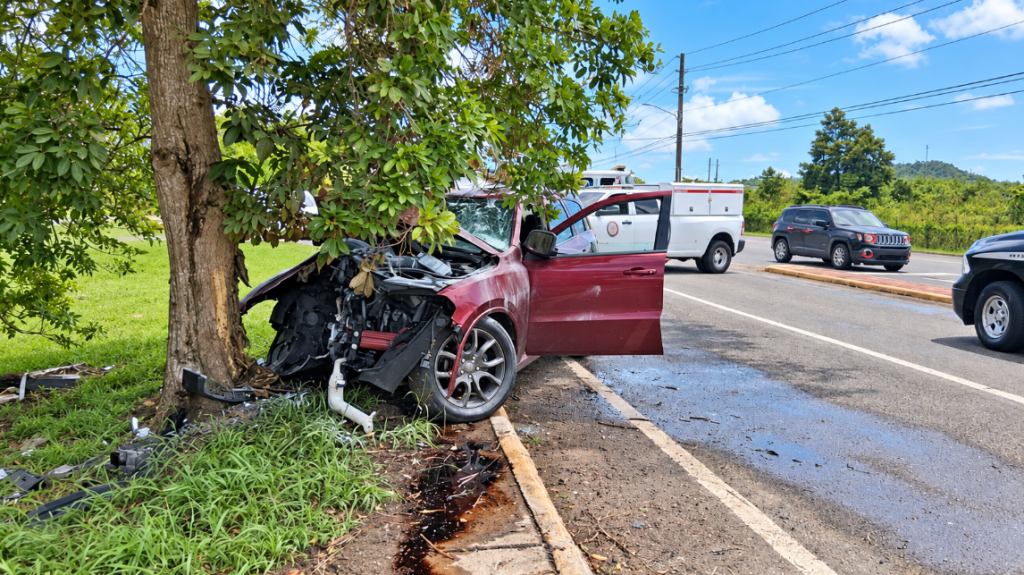  Beb&eacute; resulta gravemente herida tras veh&iacute;culo impactar un &aacute;rbol en Juncos 