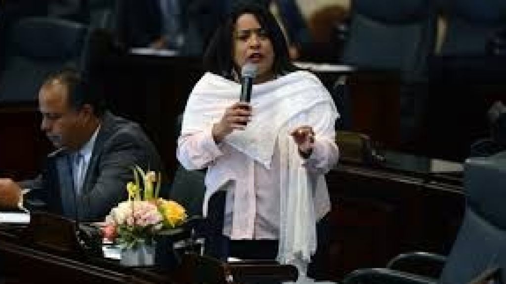  C&aacute;mara de Representantes aprueba el C&oacute;digo Civil 