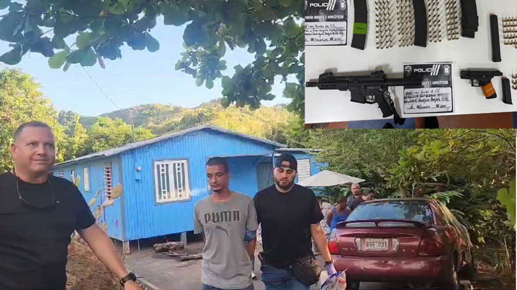  Video del arresto de varias personas en Villalba y Ponce 