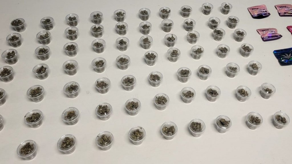  Ocupan drogas y un carro robado durante intervenciones en Cata&ntilde;o y Guaynabo 