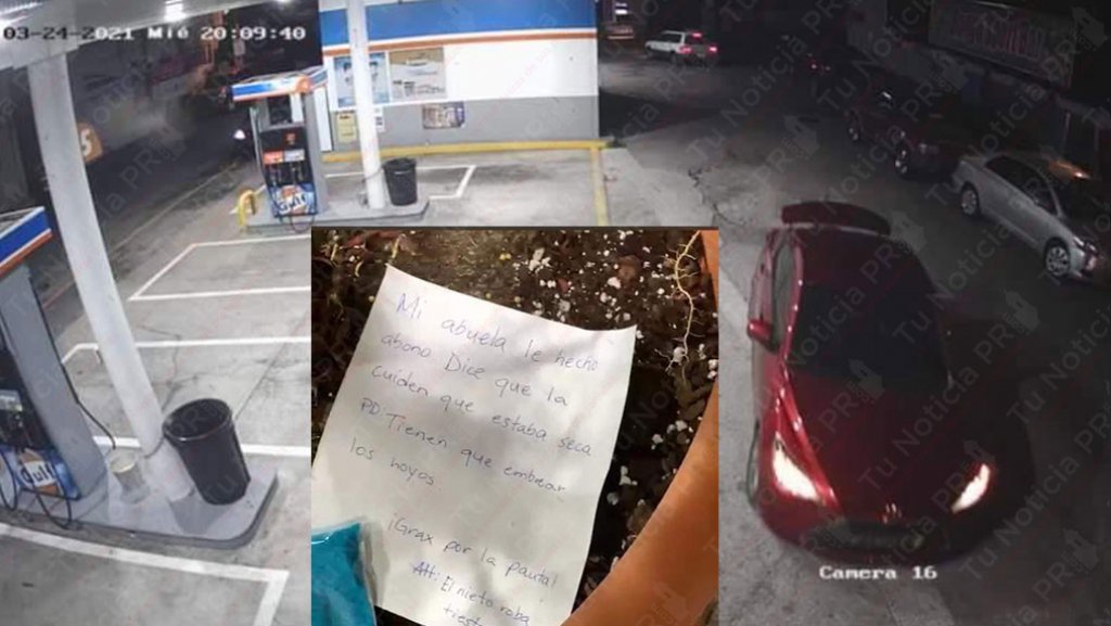  Video: Abuela obliga al “Pillo barato” a devolver el Tiesto que se robó de una gasolinera en Rio Piedras 