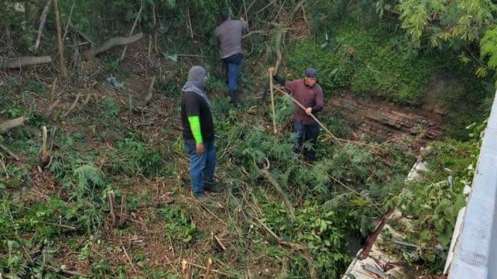  Educaci&oacute;n asegura que ya se atiende problema de plaga de ratones en escuela de Luquillo 