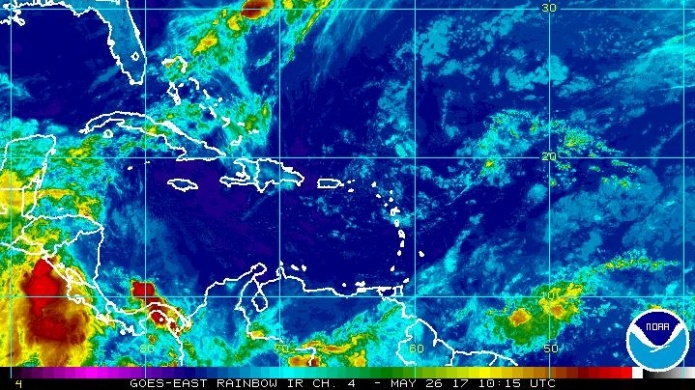 Mejora la calidad del aire y disminuye el calor