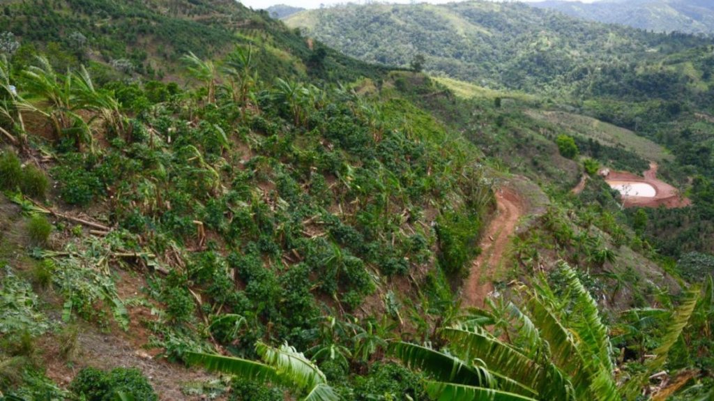  Representante de pueblos de la monta&ntilde;a le dar&aacute; prioridad a la agricultura durante los pr&oacute;ximos a&ntilde;os 
