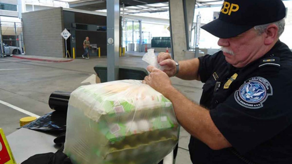  390 huevos de gallina se intentan contrabandear a diario de México a EE.UU. 