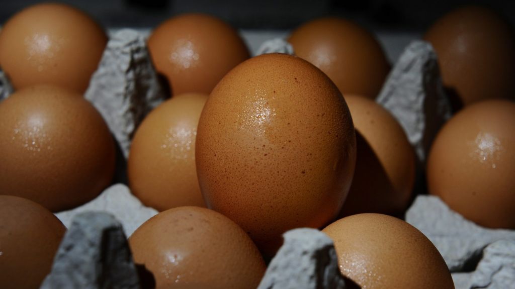  Autoridades sanitarias alertan de aumento afectados por brote de salmonela 