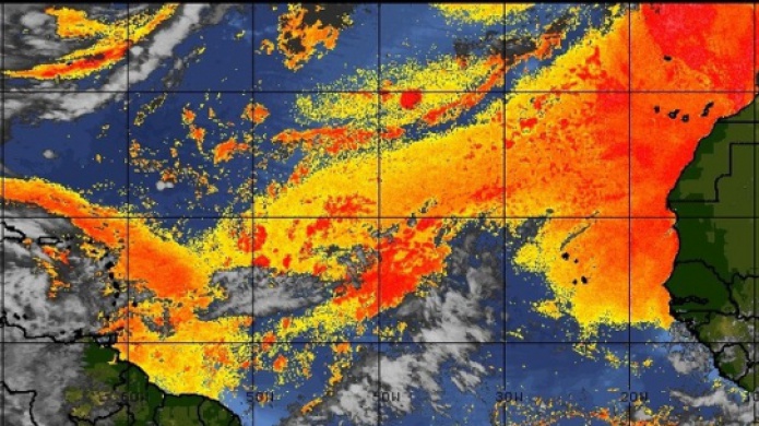 Bruma e intenso calor hasta finales de esta semana...