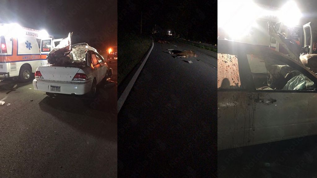  En video escena donde Joven conductor choc&oacute; con 3 caballos en Arroyo 