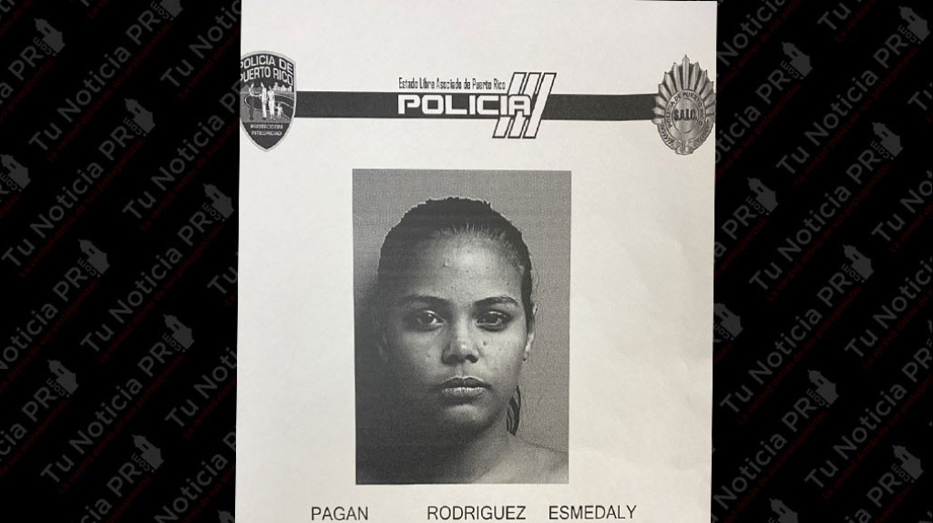  Ley 54 entre mujeres de Aguadilla termina con una de ellas presa 