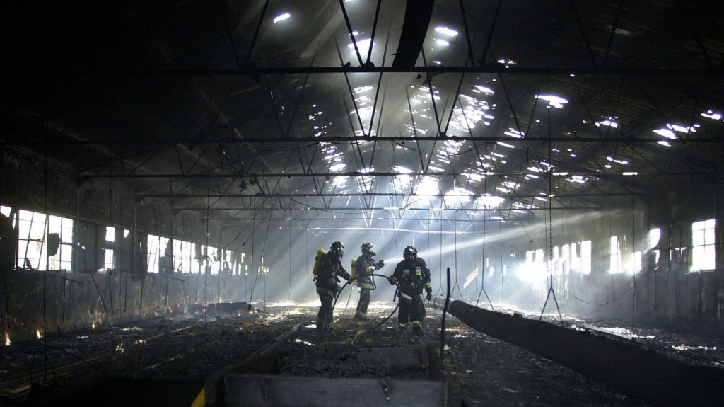  Incendio en una granja av&iacute;ciola de Florida mata a unas 240.000 gallinas 