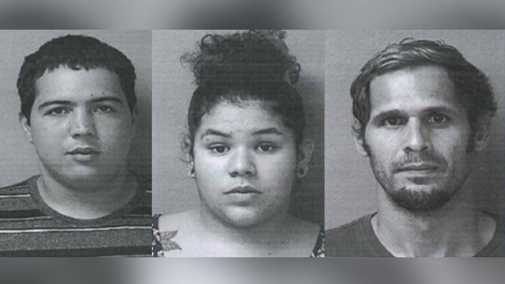  Cargos contra dos hombres y una mujer por robar pl&aacute;tanos de finca de Utuado 