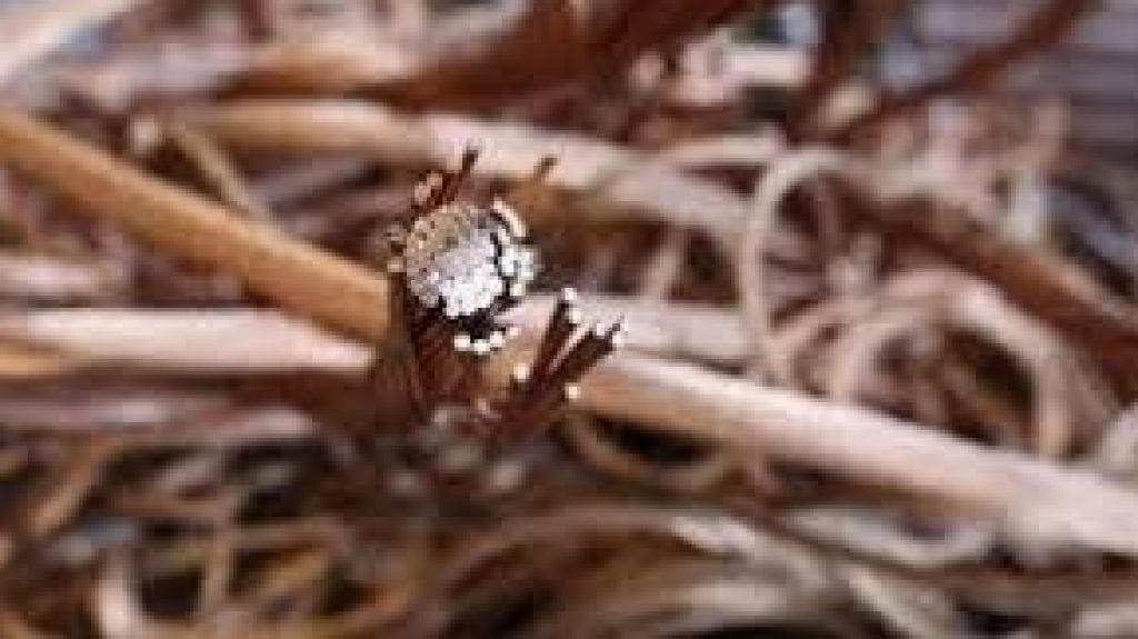  Se reporta hurto de cable en Morovis 