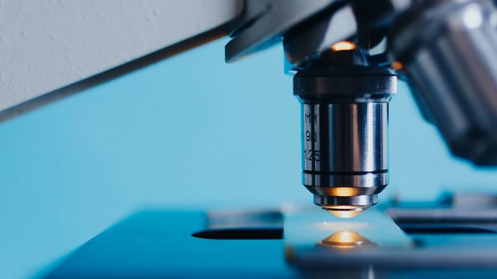  Encuentran nueva forma de eliminar c&eacute;lulas cancer&iacute;genas 