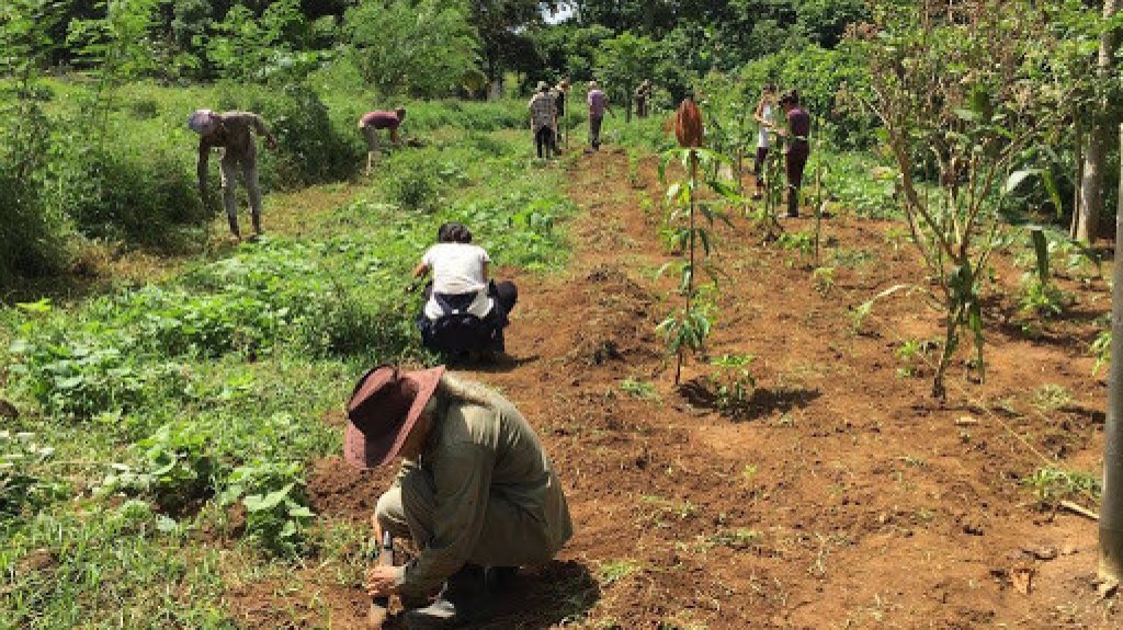  Proponen alianza entre municipios para salvar cosechas en coordinaci&oacute;n con el Departamento de Agricultura 