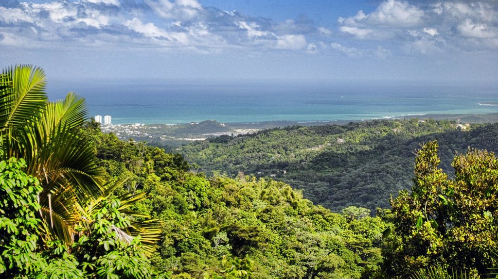  Rescatan a 5 personas perdidas en El Yunque 