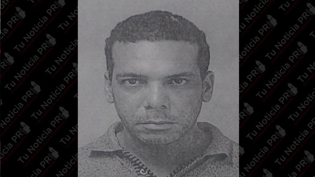  Polic&iacute;as sorprenden a hombre robando cable de tel&eacute;fono en Naguabo 