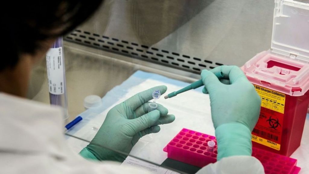  Pfizer asegura que producir&aacute; millones de vacunas contra el coronavirus para fin de a&ntilde;o 