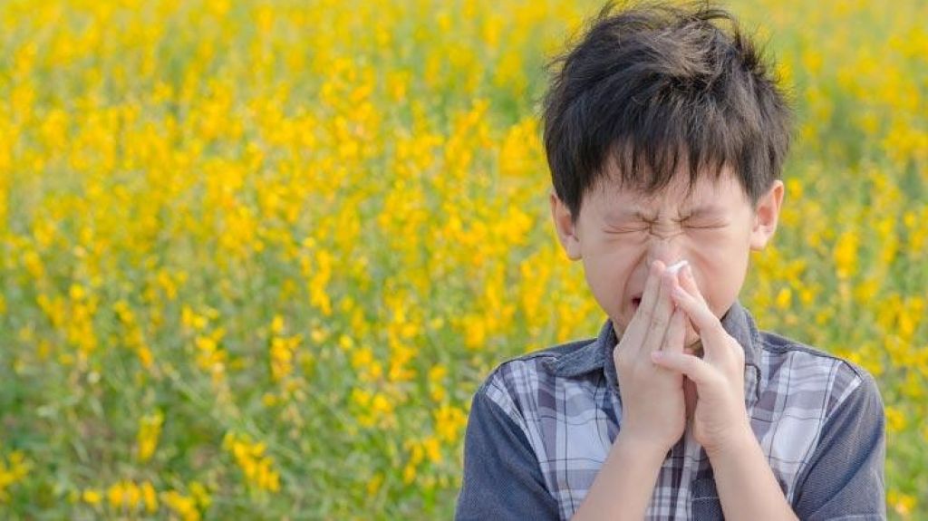  Alerta Roja en nivel de hongos, registran el m&aacute;s alto en 15 a&ntilde;os 