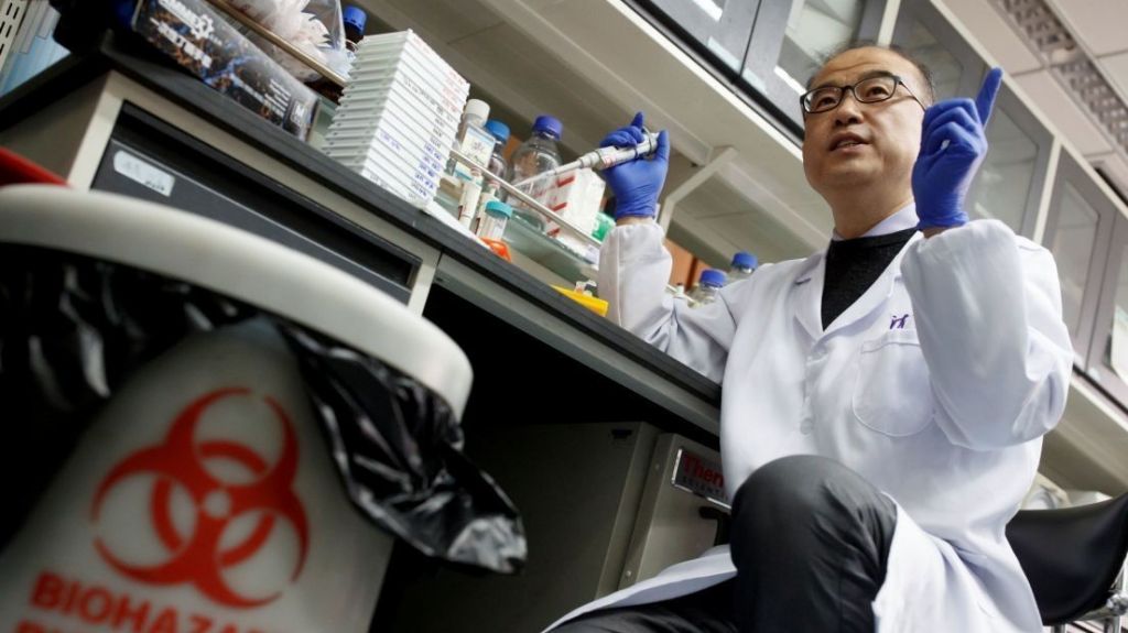  Cient&iacute;ficos de EE.UU. y China se al&iacute;an para buscar el origen del coronavirus 