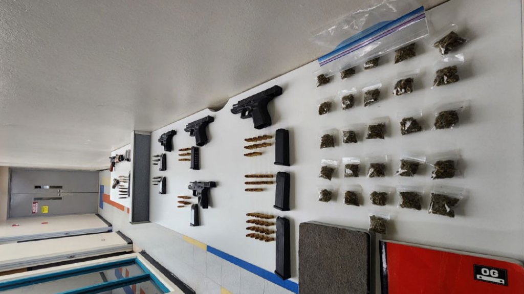  74 arrestados en Gallera Clandestina de Juana D&iacute;az con drogas y armas 