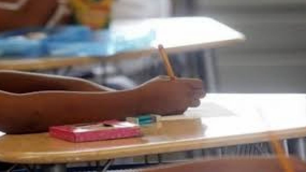  Llevar&aacute;n protesta contra proyecto de Educaci&oacute;n Especial en NY 