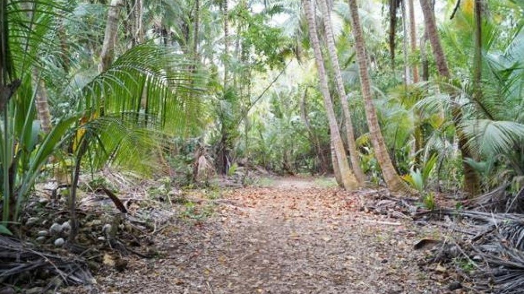  Abren convocatoria para reclutar a quienes puedan brindar recorridos guiados en la reserva natural humedal Punta Tuna 