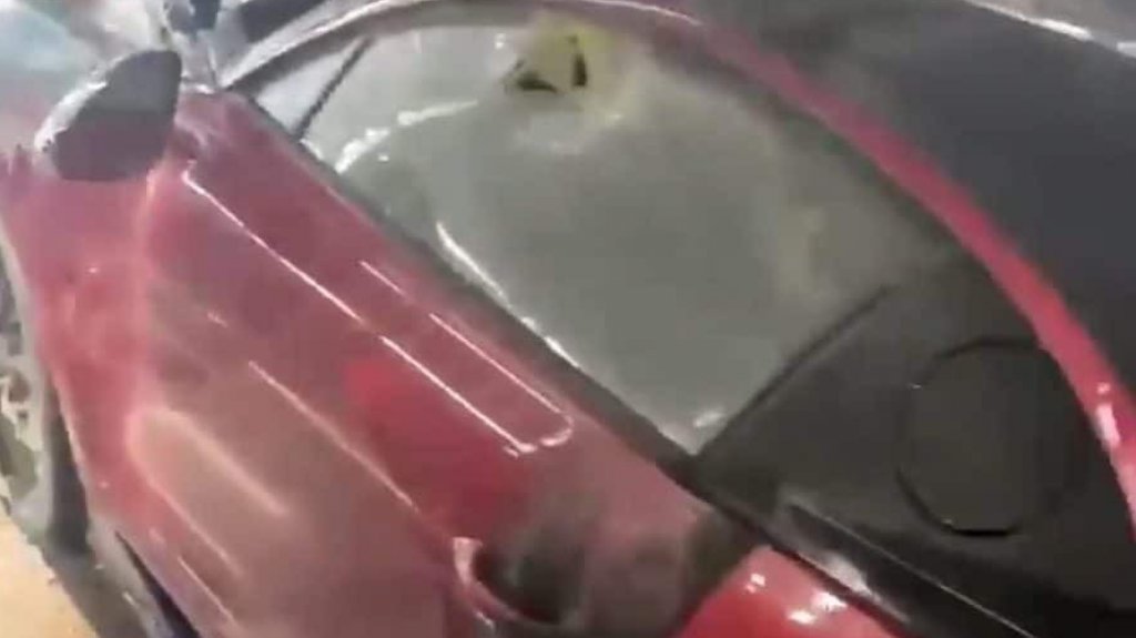  Video: Prenden en fuego el bugatti del Alfa en Miami 