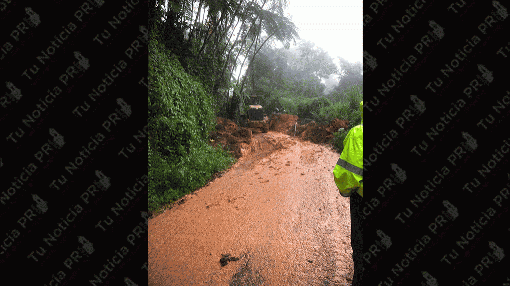  Con paso parcial familias afectadas por derrumbe en Utuado 