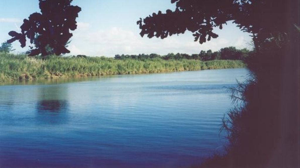  Presidente AAA asegura embalses est&aacute;n en buenas condiciones 