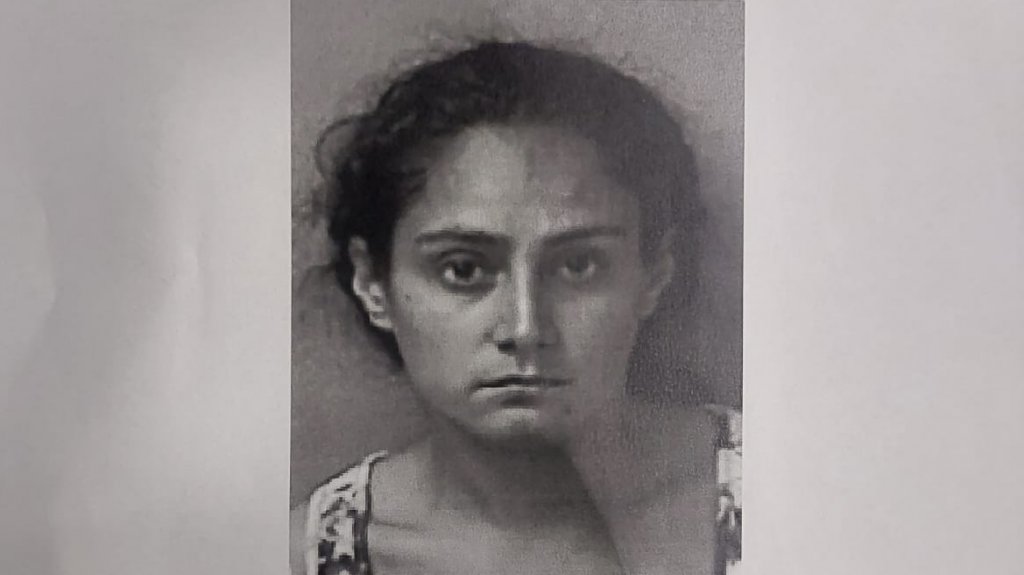  Radican cargos a mujer por Ley 54 