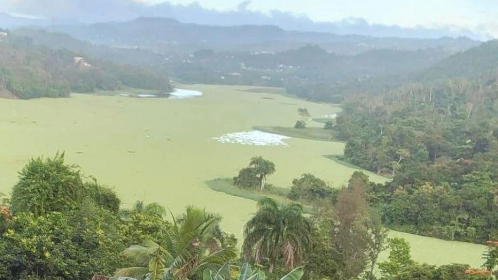  PIP denuncia falta de atenci&oacute;n a situaci&oacute;n ambiental del Lago Carra&iacute;zo 