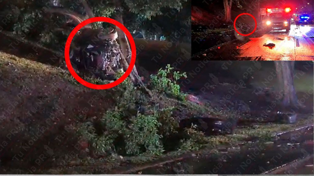  Video: Muere conductor de un Porsche al estrellarse con un &aacute;rbol en el Martinez Nadal 