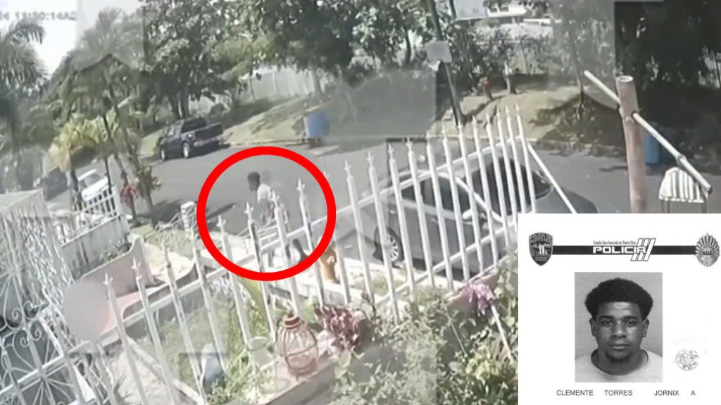  A la cárcel títere de 24 años que aparece en video tirando contra el piso al perrito de su mama en Toa Baja 