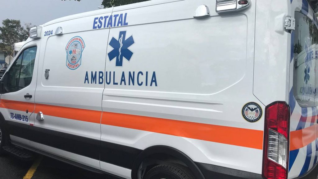  Perro muerde a menor de 6 a&ntilde;os en Villalba 