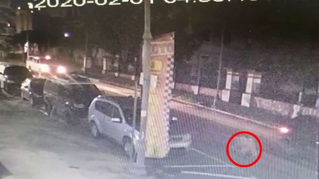  Publican video de un veh&iacute;culo lanzando un muerto en medio de la calle en Santurce 
