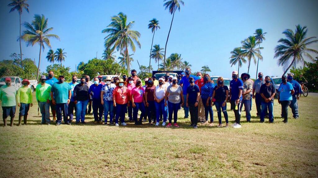  Vega Alta comienza reforestaci&oacute;n del balneario Cerro Gordo 