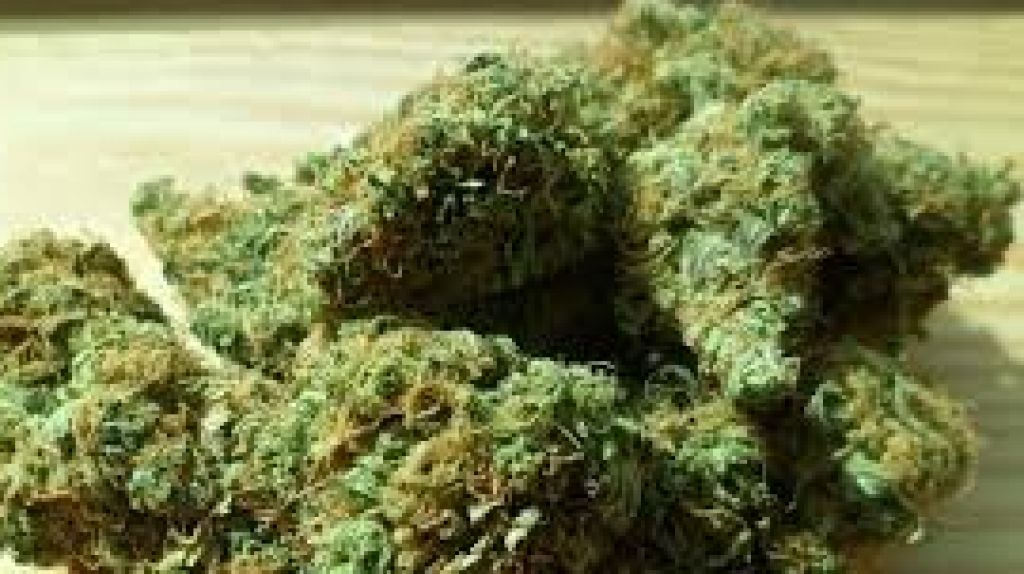  Congreso da paso a enmienda presupuestaria que protege programa de cannabis medicinal en Puerto Rico 