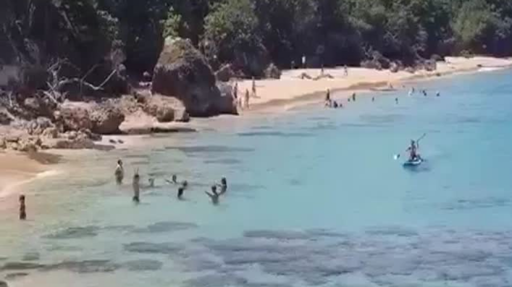  Video: Boricuas continúan vacilándose la policía ante orden ejecutiva 