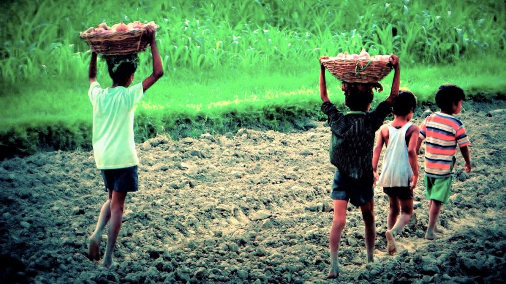  Arrestados siete sujetos por estar vinculados a la explotación laboral infantil 