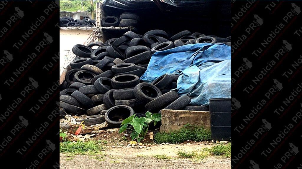  Representante del PNP insta a resolver el problema de los neum&aacute;ticos abandonados en pueblos de la monta&ntilde;a 