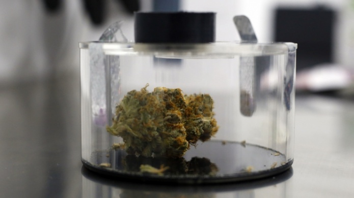 Centro Unido de Detallistas de Puerto Rico crea el capÃ­tulo del Cannabis