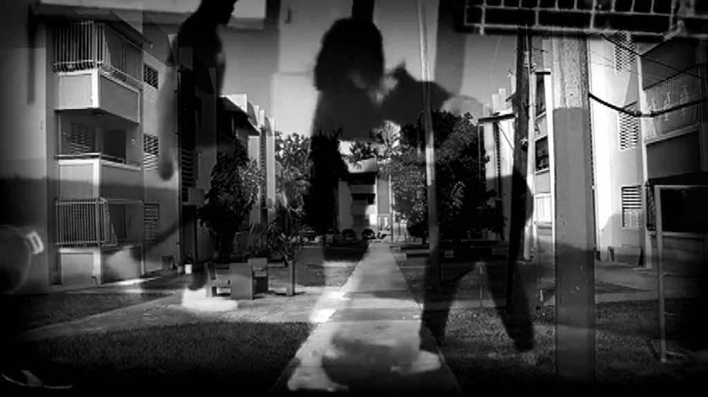  Viral video de “Royal Rumble” de mujeres en residencial público 