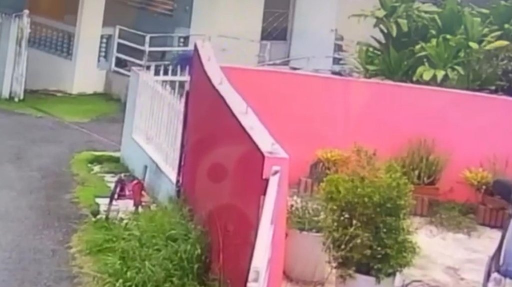  Publican video del momento en que hombre ataca con un machete a su madre en Toa Baja 