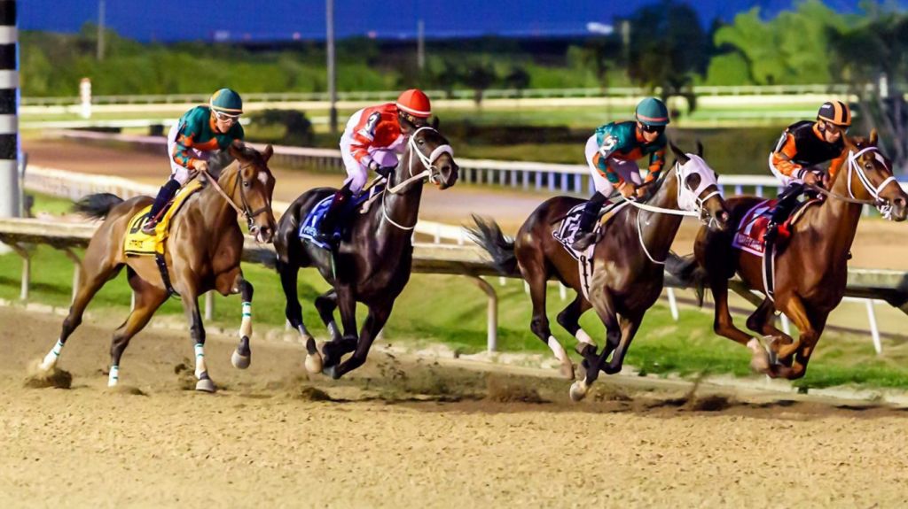  Solicitar&aacute; presidente de Camarero se clarifique la autorizaci&oacute;n para reanudar carreras y apuestas en agencias h&iacute;picas 